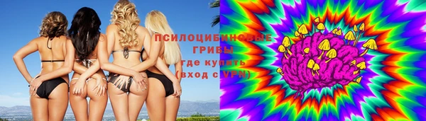 таблы Алексеевка