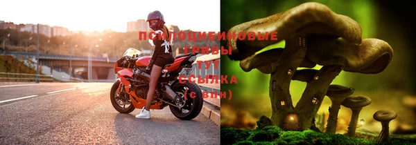 не бодяженный Алексин