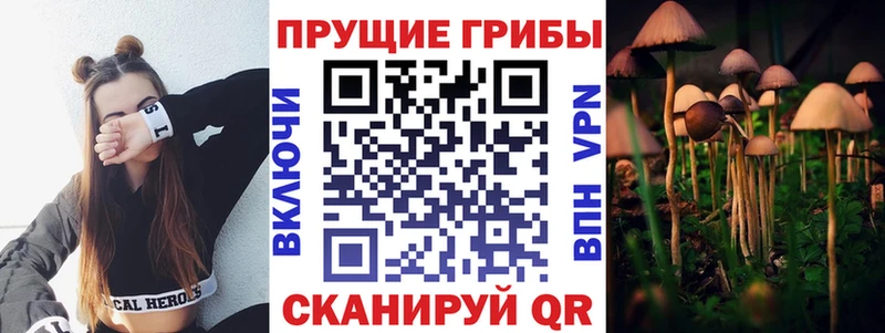 Псилоцибиновые грибы MAGIC MUSHROOMS  Луза 